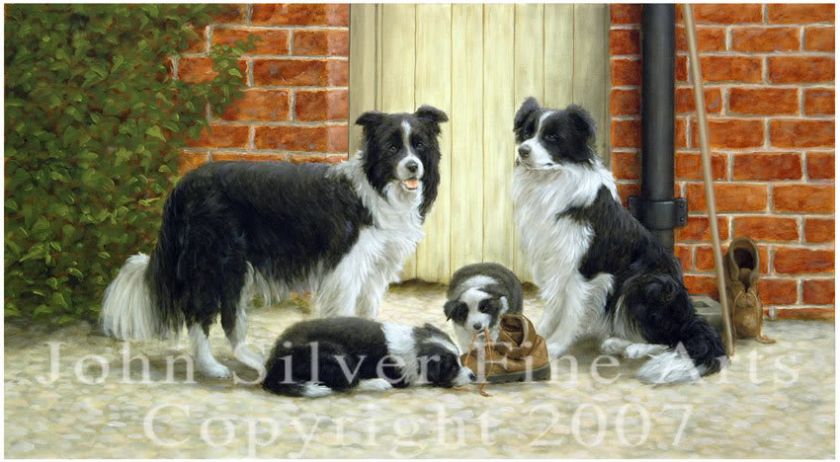   of High Quality Border Collie Art and would suit any decor