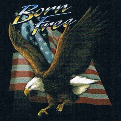 BORN FREE Biker Rally Surgis Cool US Flag Eagle T Shirt  